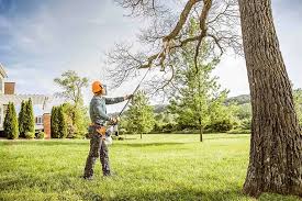 Best Seasonal Cleanup (Spring/Fall)  in Stanton, CA